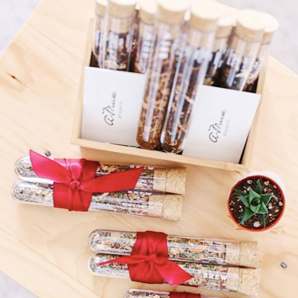 *Customisable* Tea-Tubes - Corporate Gift